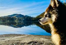 Michaël DESSEREY - MICHAEL DESSEREY