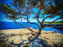 Michaël DESSEREY - MICHAEL DESSEREY